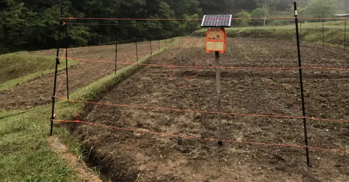 Nilgai High Jump Agricultural Solar Fence